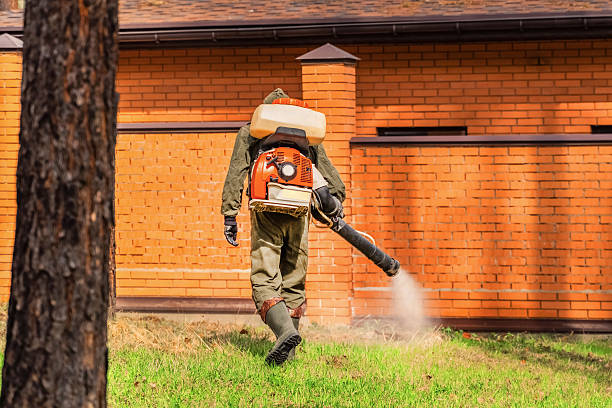 Top rated local Mosquito Control specialists in Rosedale, WA